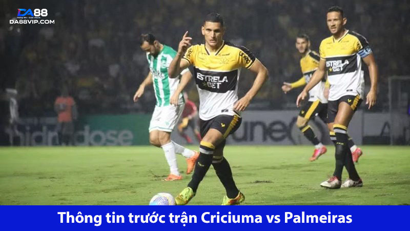 Criciuma và Palmeiras đều đang thi đấu bất ổn